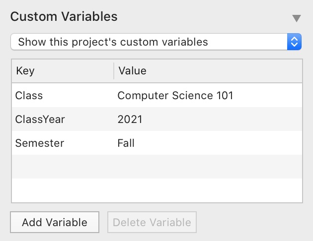CustomVariablesProject